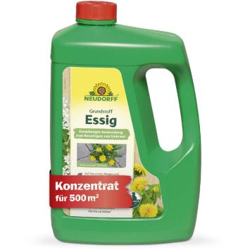 Neudorff BioKraft® Grundstoff Essig, 3 Liter Konzentrat (1 L / € 6,66)