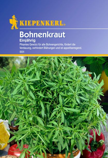Bohnenkraut 'Einjährig'