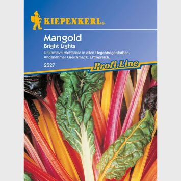 Mangold 'Bright Lights'
