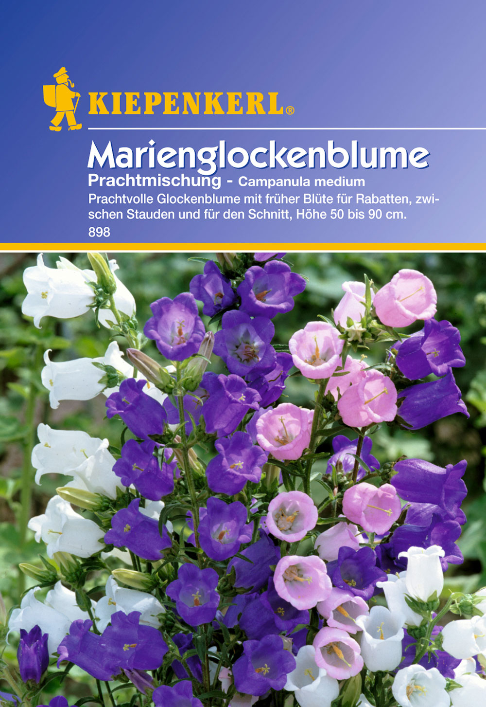 44+ Mehrjährige Sommerblumen Garten, Sommerblumen sind eine