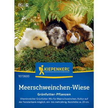 Meerschweinchen-Wiese Grünfutter-Pflanzen