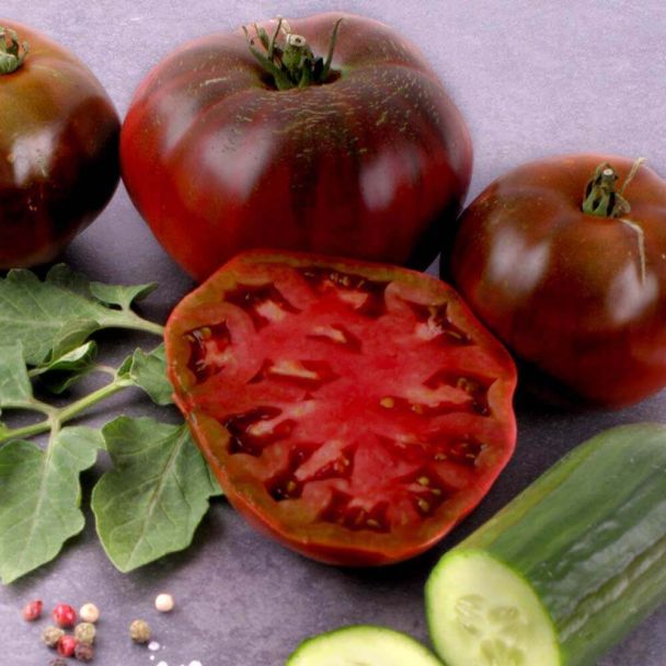 Gourmet-Tomate 'Schwarze Krim'