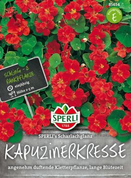 Kapuzinerkresse 'SPERLI´s Scharlachglanz'