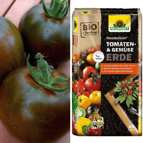 Schokoladentomate Kakao + Erde (Sparangebot)