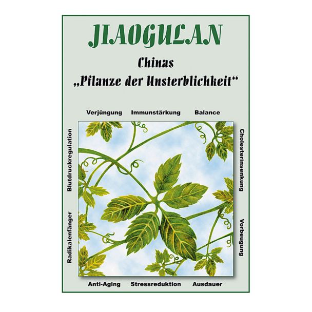 Buch 'Jiaogulan'