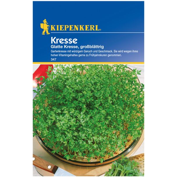 Kresse 'glatte, großblättrig'
