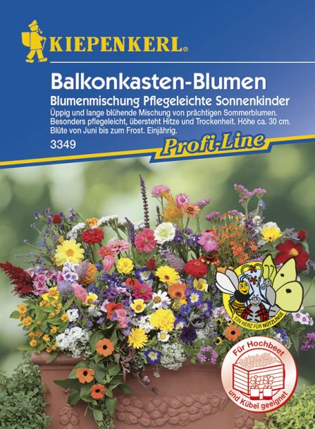 Balkonkasten-Blumen 'Blumenmischung Pflegeleichte Sonnenkinder'