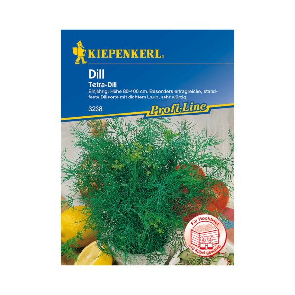 Dill 'Tetra-Dill'