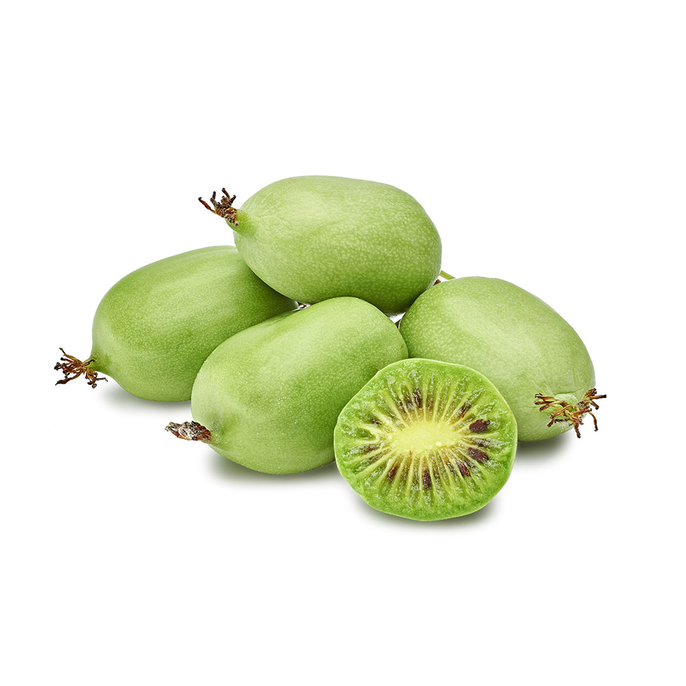 MiniKiwi 'Issai' kaufen Ahrens+Sieberz Pflanzenversand & Gartenbedarf