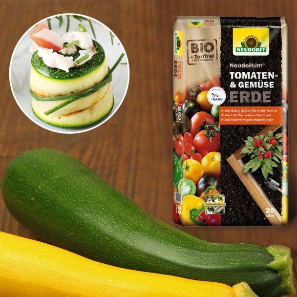 Set-Preis: 2x Culinari-Green F1 – Grüne Zucchini + 1 x NeudoHum® Tomaten- und Gemüseerde, 20 Liter