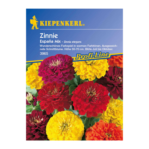 Zinnie 'España Mix'