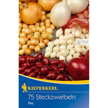 Steckzwiebeltrio