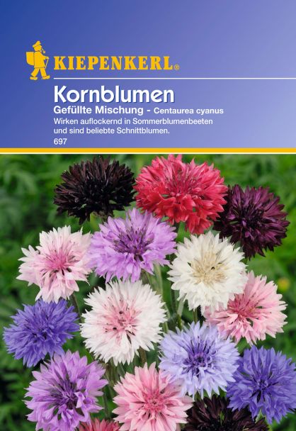 Kornblumen 'Gefüllte Mischung'