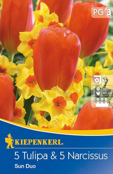Tulpen & Narzissen 'Sun Duo' - Mischung