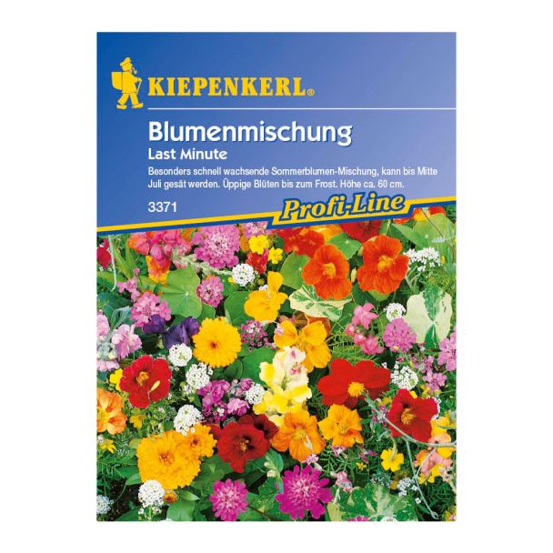 Blumenmischung 'Last Minute'