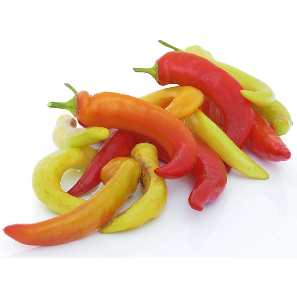 Paprika Sweet & Long Paprika & Chili Gemüsepflanzen Gemüse