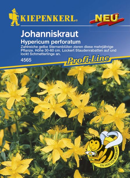 Johanniskraut