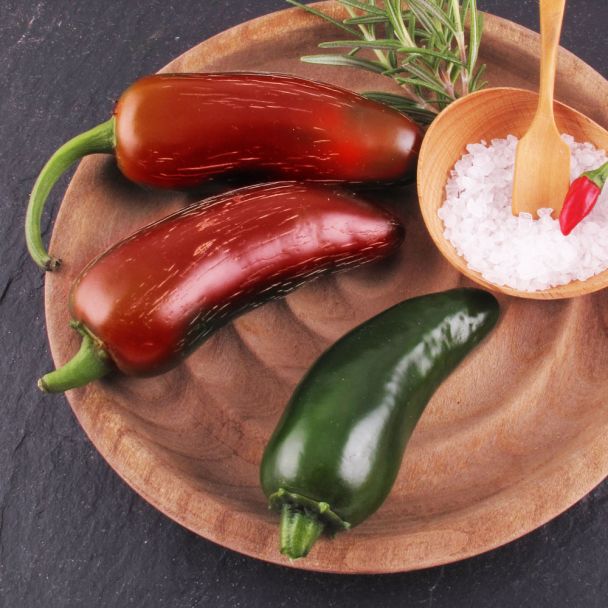 'Scharfmacher' F1 - feurige Jalapeno-Chili