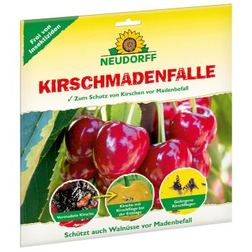 KirschmadenFalle