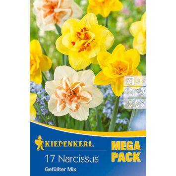 Gefüllter Narzissen Mix