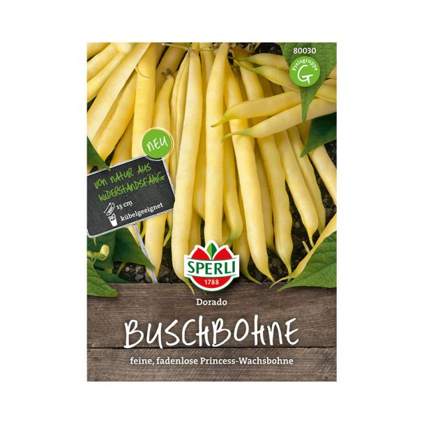 Buschbohnen 'Dorado'