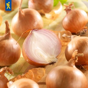 Steckzwiebeln Rote Schalotten Red Sun 400 g (1 kg / € 7,48)