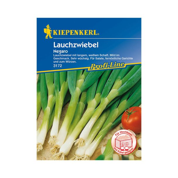 Lauchzwiebel 'Negaro'