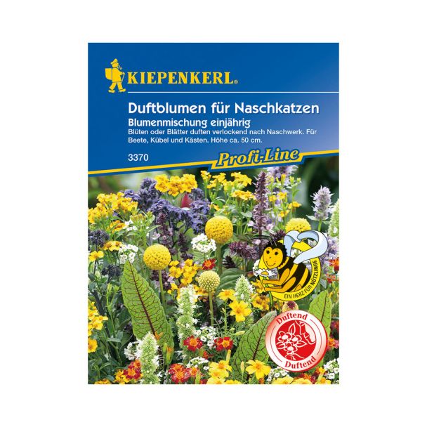 Duftblumen für Naschkatzen 'Blumenmischung einjährig'