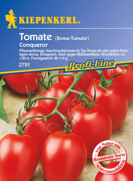 Tomaten (Eiertomaten) 'Conqueror' F1