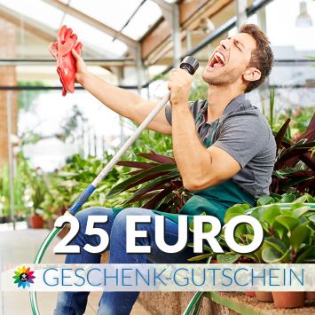 Geschenk-Gutschein, Wert 25 Euro Sänger