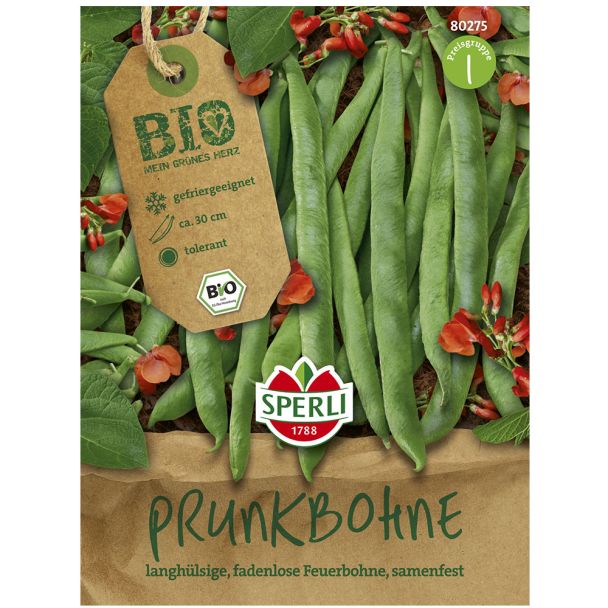 BIO Prunkbohne Lady Di