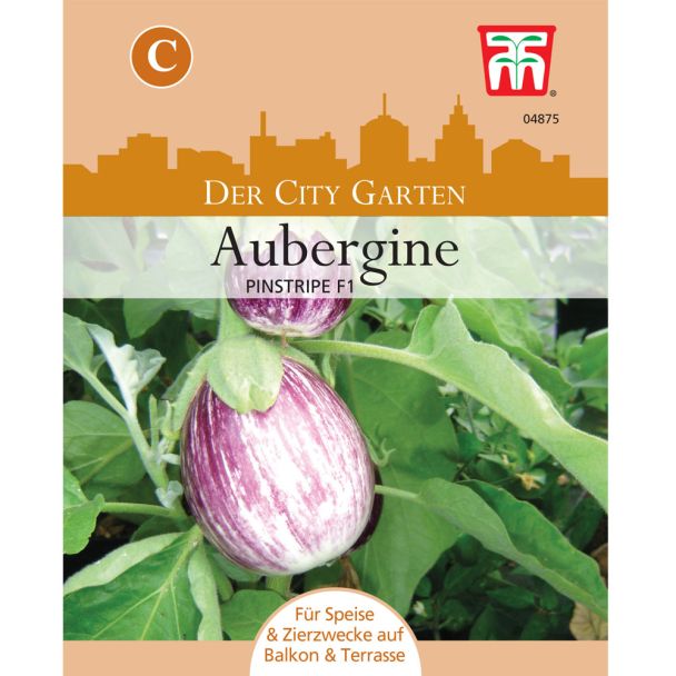 Aubergine Pinstripe F1 Hybride