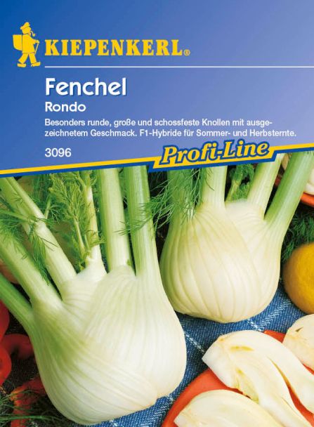 Fenchel 'Rondo' - F 1
