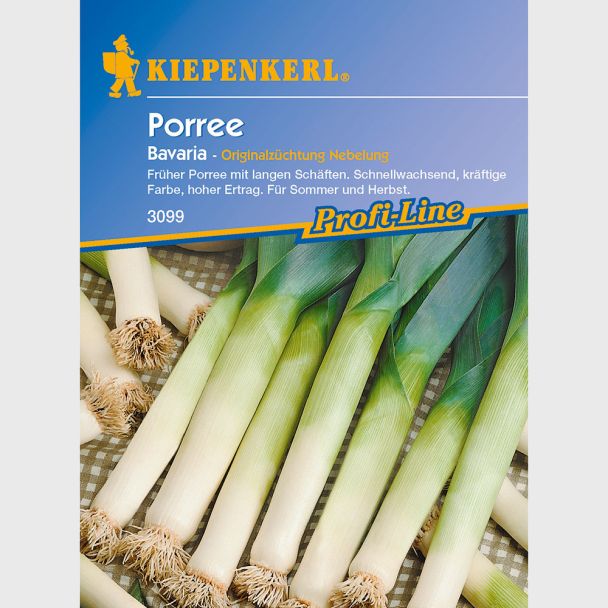 Porree 'Bavaria'