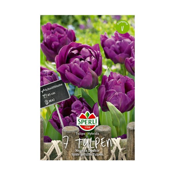 Sperli Tulpen Negrita Double