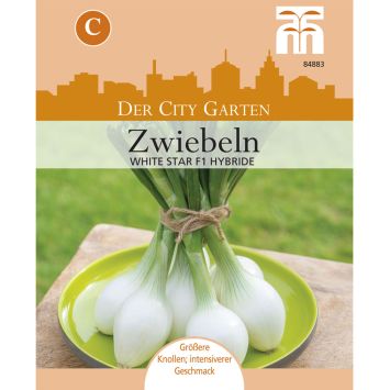 Zwiebel White Star