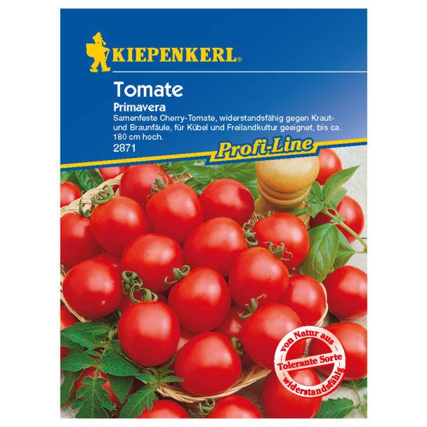 Tomaten (Cherry) 'Primavera'