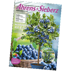 Katalog bestellen