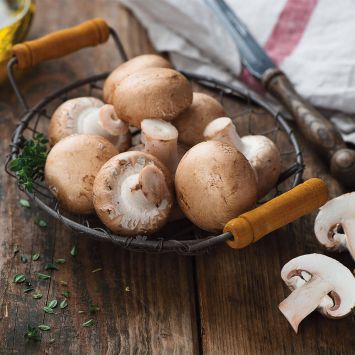 'Stein-Champignon' Pilz-Fertigkultur