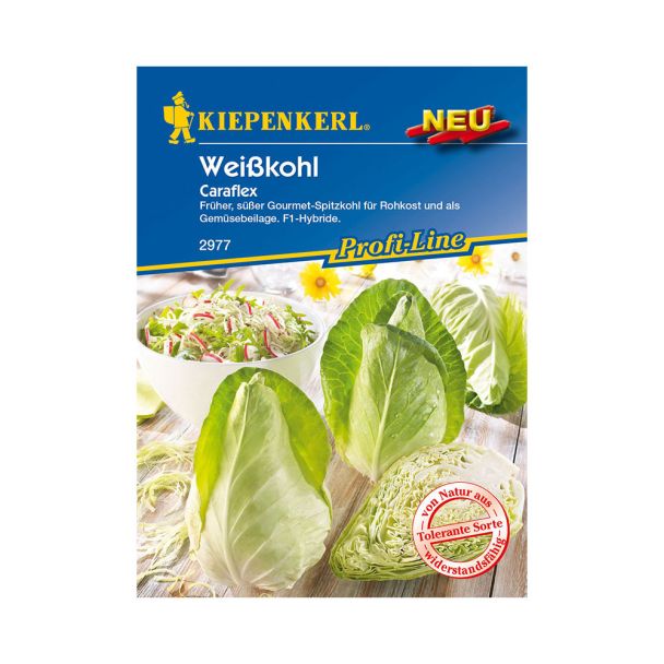 Weißkohl 'Caraflex' - Spitzkohl - F1