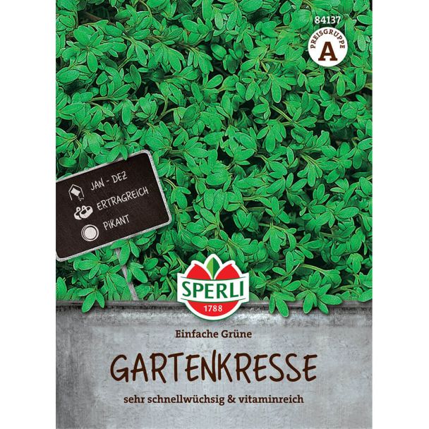 Gartenkresse 'Einfache Grüne'