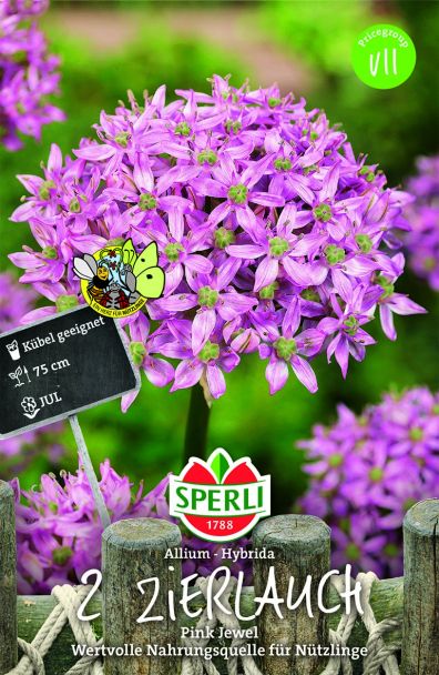 Zierlauch 'Pink Jewel'
