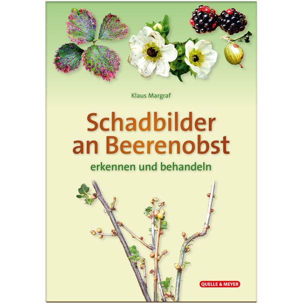 Leporello: Schadbilder an Beerenobst erkennen und behandeln