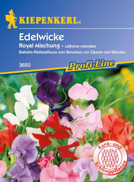 Edelwicken 'Royal Mischung'