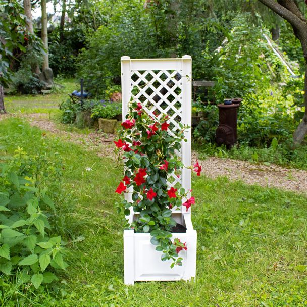 Pflanzkasten mit Spalier, 43 cm in Weiß