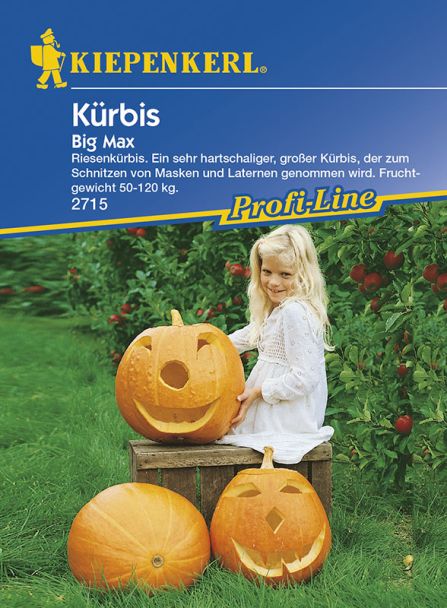 Kürbis 'Big Max, Riesenkürbis'