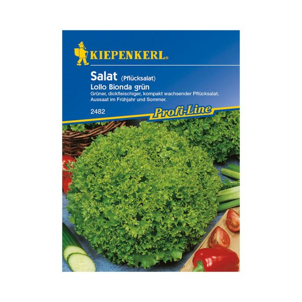 Pflücksalat 'Lollo Bionda grün'