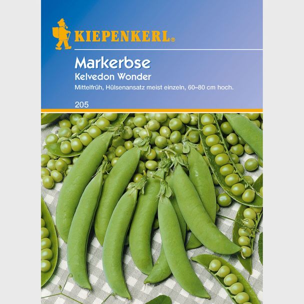 Markerbse 'Wunder von Kelvedon'