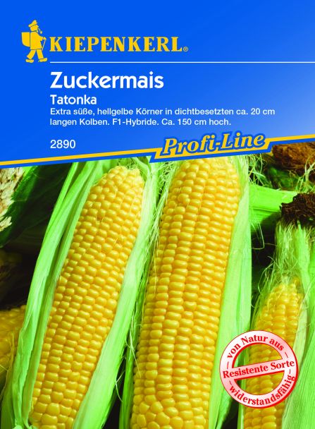 Zuckermais 'Totonka'