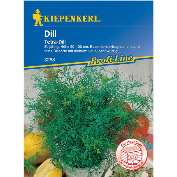 Dill 'Tetra-Dill'